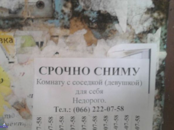 Срочно_сниму